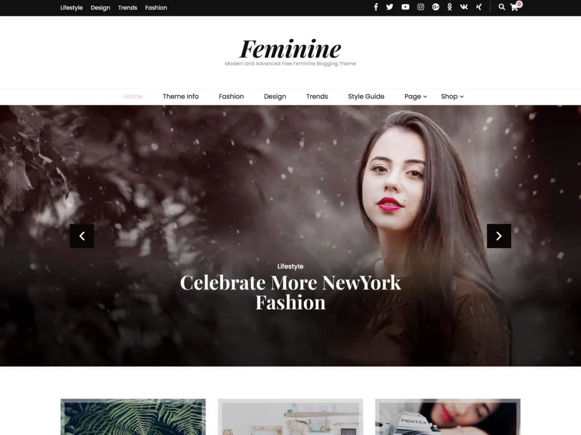 Theme thời trang cho WordPress