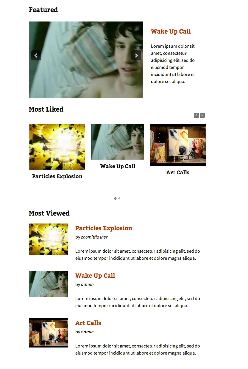 plugin chèn video vào WordPess Video Portal