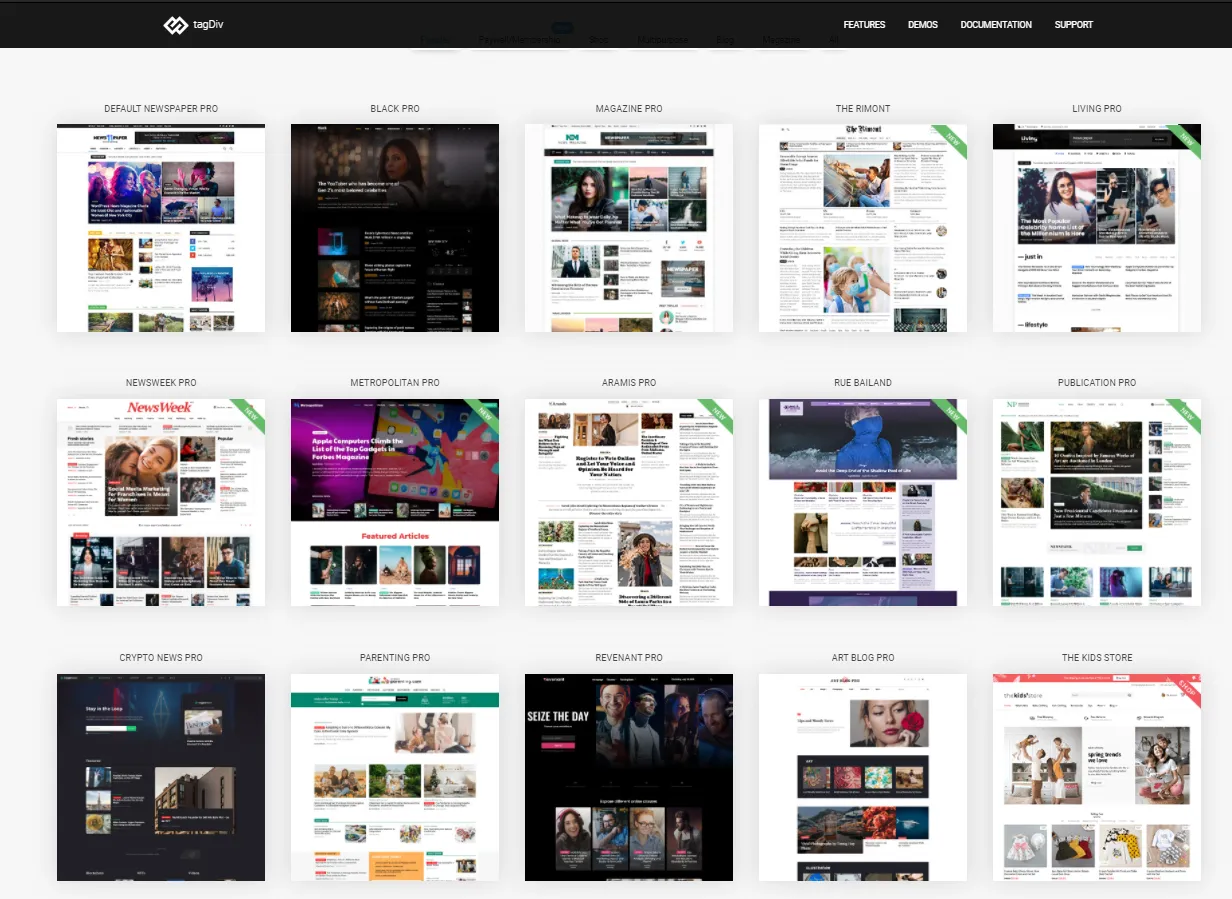 Các bản demo của theme NewsPaper