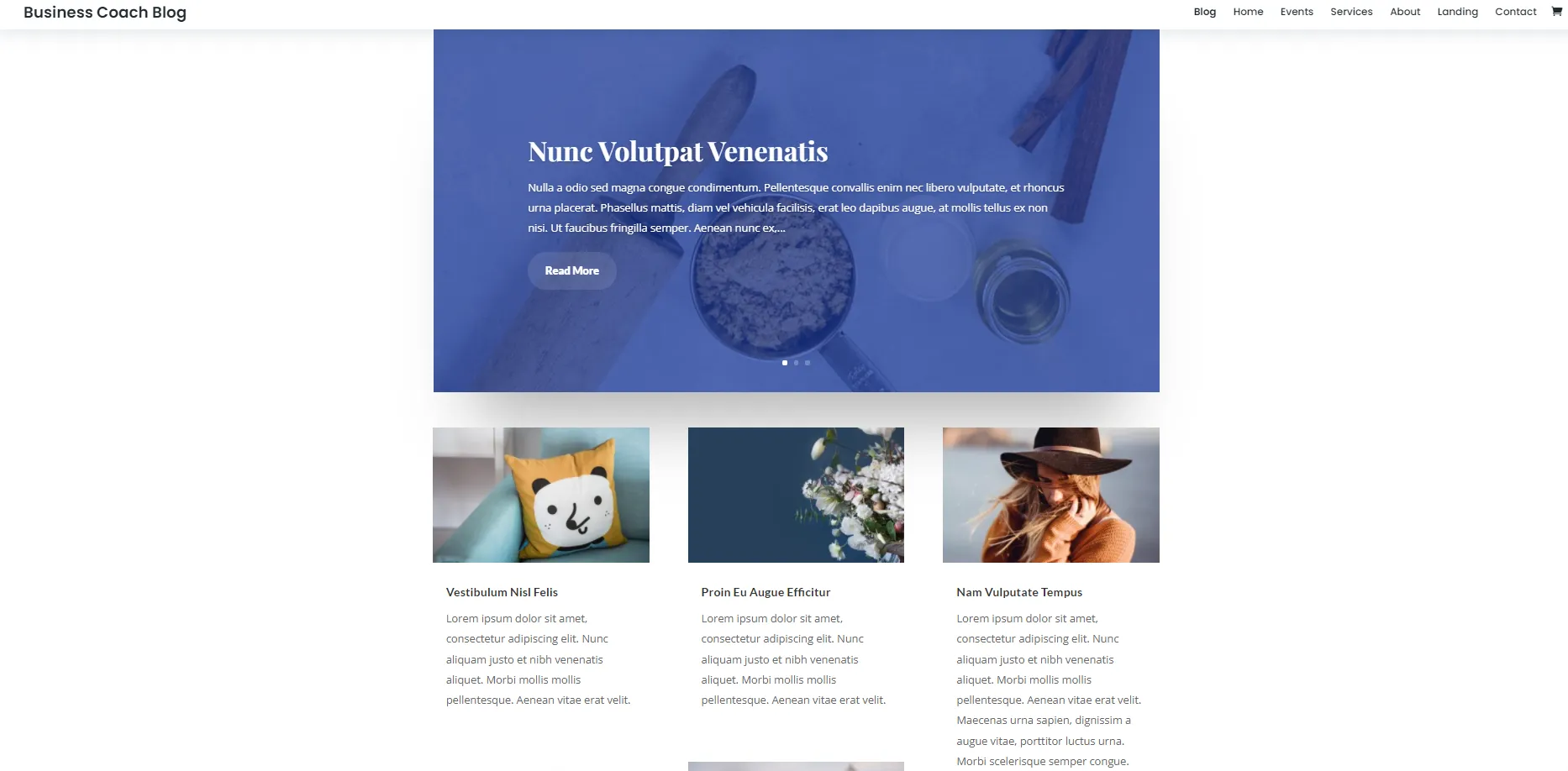 Divi - Theme blog WordPress linh hoạt