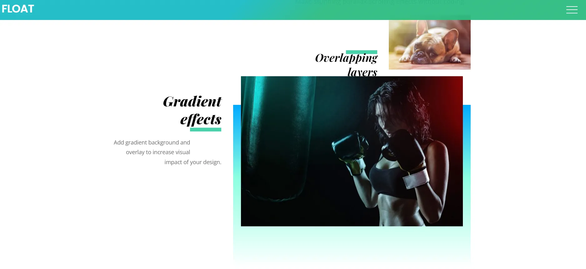 theme Affiliate WordPress