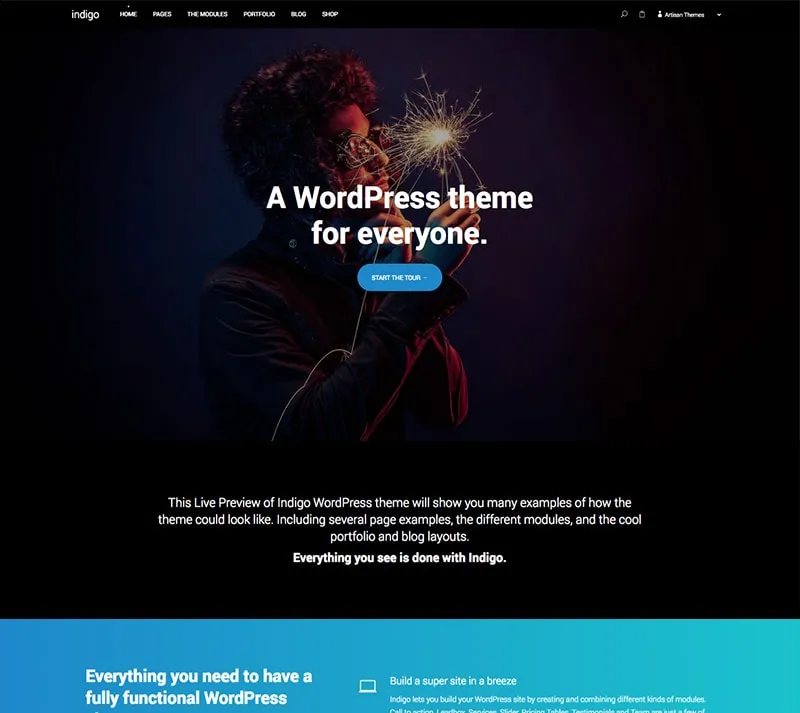 theme Affiliate WordPress