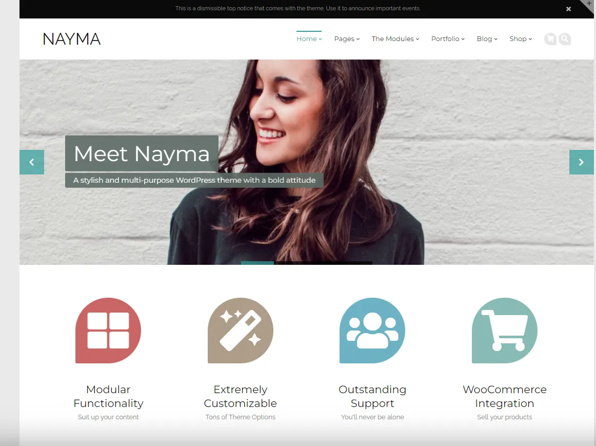 theme Affiliate WordPress