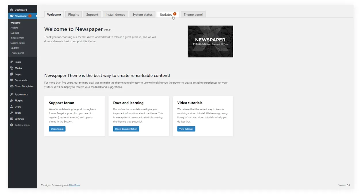 Theme panel của theme WordPress NewsPaper