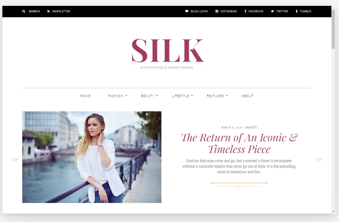 theme Affiliate WordPress