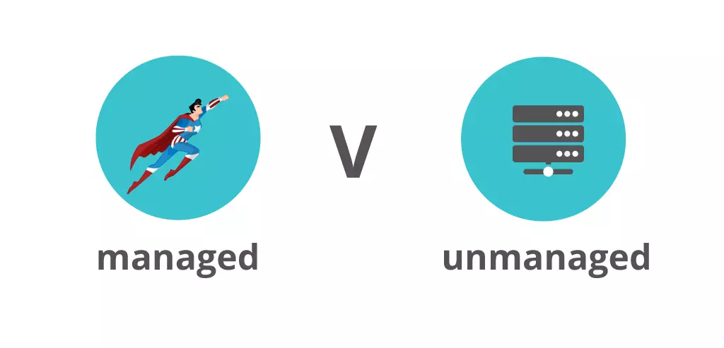 Unmanaged hosting là gì? So sánh unmanaged với managed hosting | Việt Nét