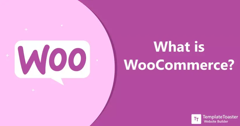 Tổng hợp 14 plugin hay cho Woocommerce | Việt Nét