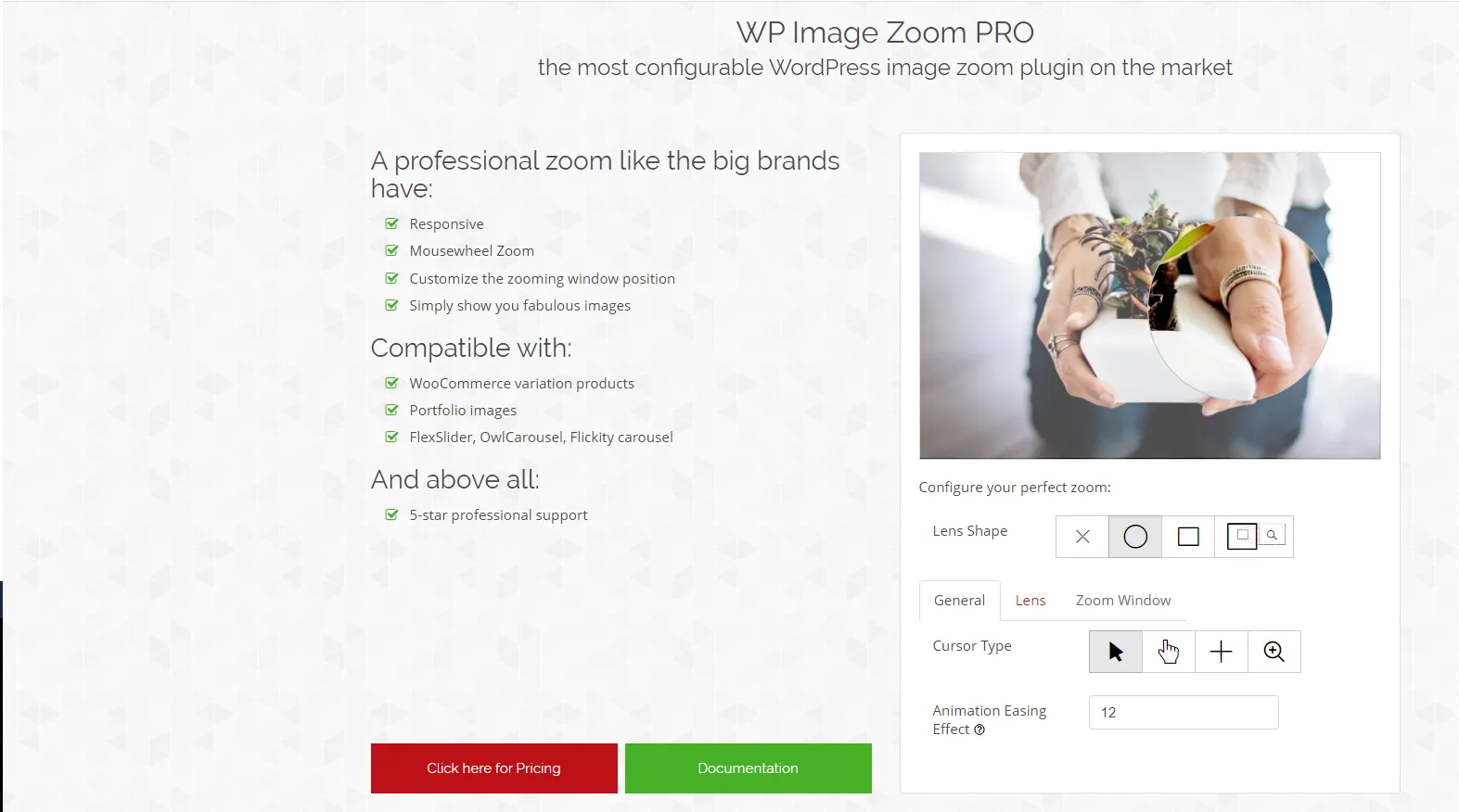 Plugin Zoom ảnh WordPress