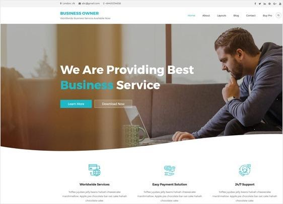 Business Owner - Theme WordPress miễn phí, thân thiện