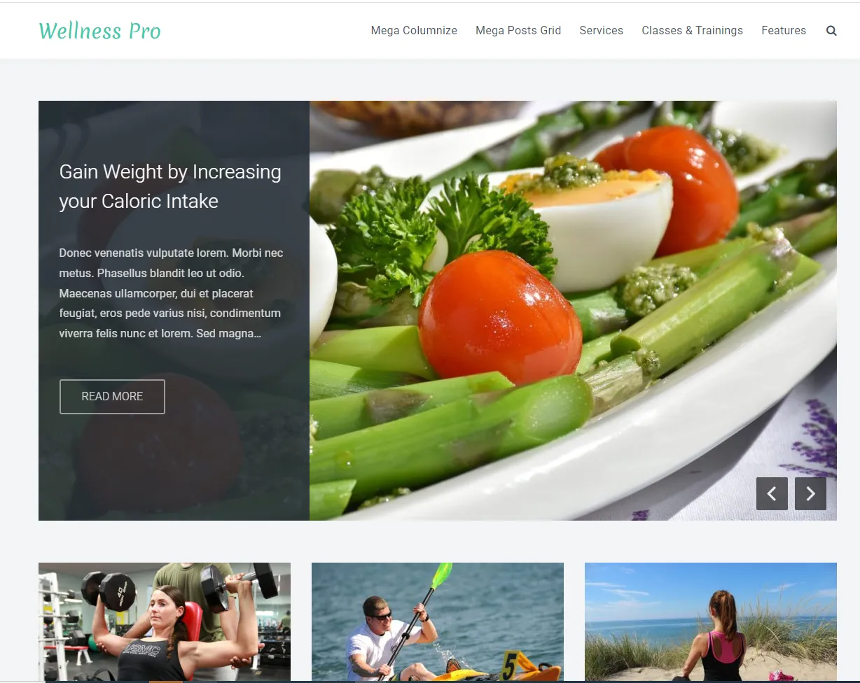 Wellness Pro