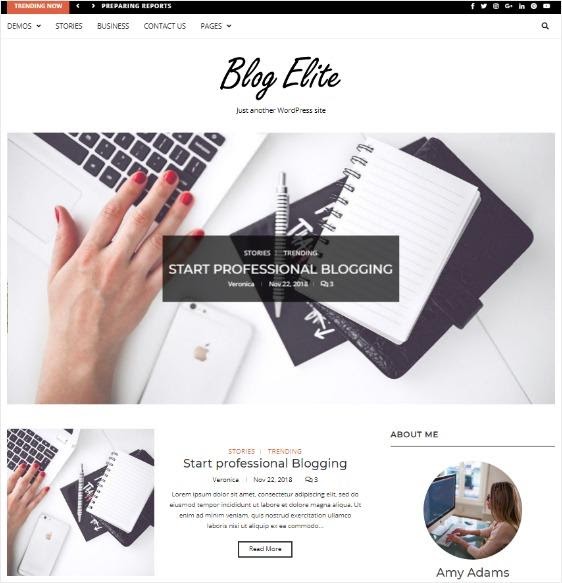 Blog Elite - Theme đa năng và đẹp cho WordPress