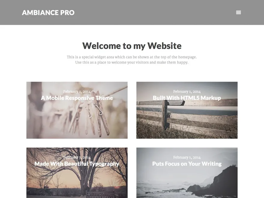 Ambiance Pro