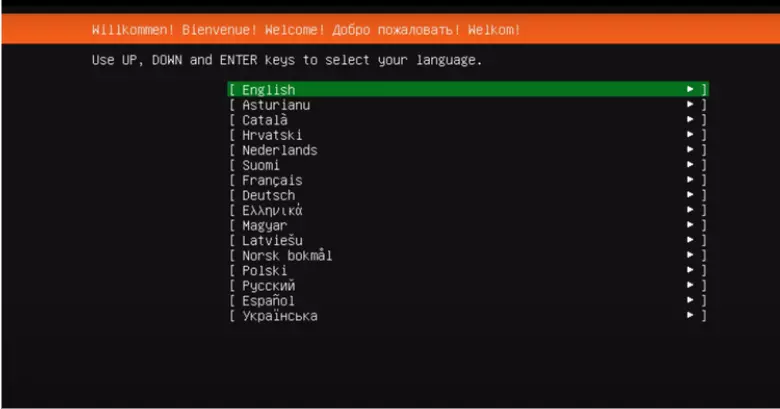 chọn ngôn ngữ cho ubuntu server