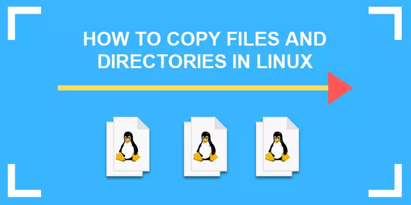 copy file linux
