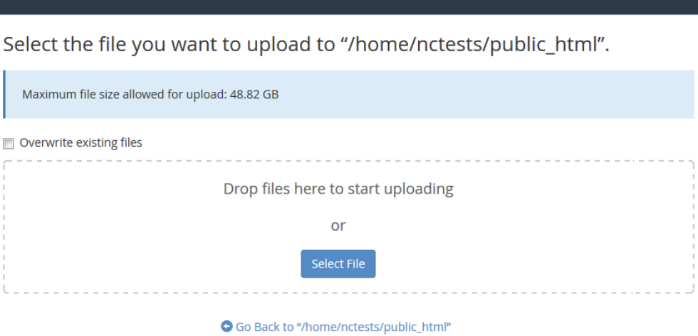 Hướng dẫn đưa website lên host nhanh nhất