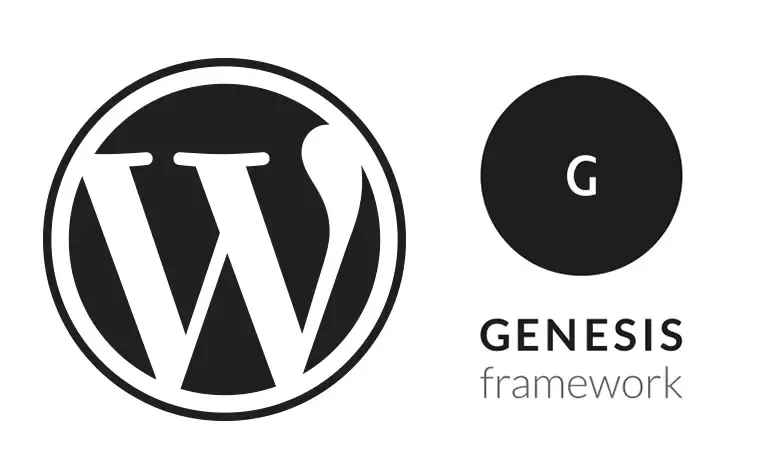 Top 20 Genesis Child Theme đẹp cho WordPress | Việt Nét