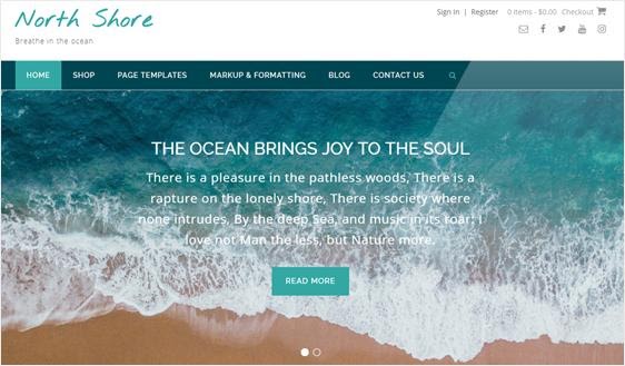 North Shore - Theme WordPress đẹp nhất cho mọi trang web