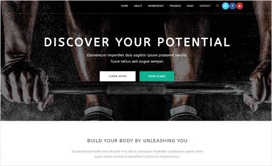 Top 27 theme WordPress miễn phí, mới và đẹp nhất | Việt Nét