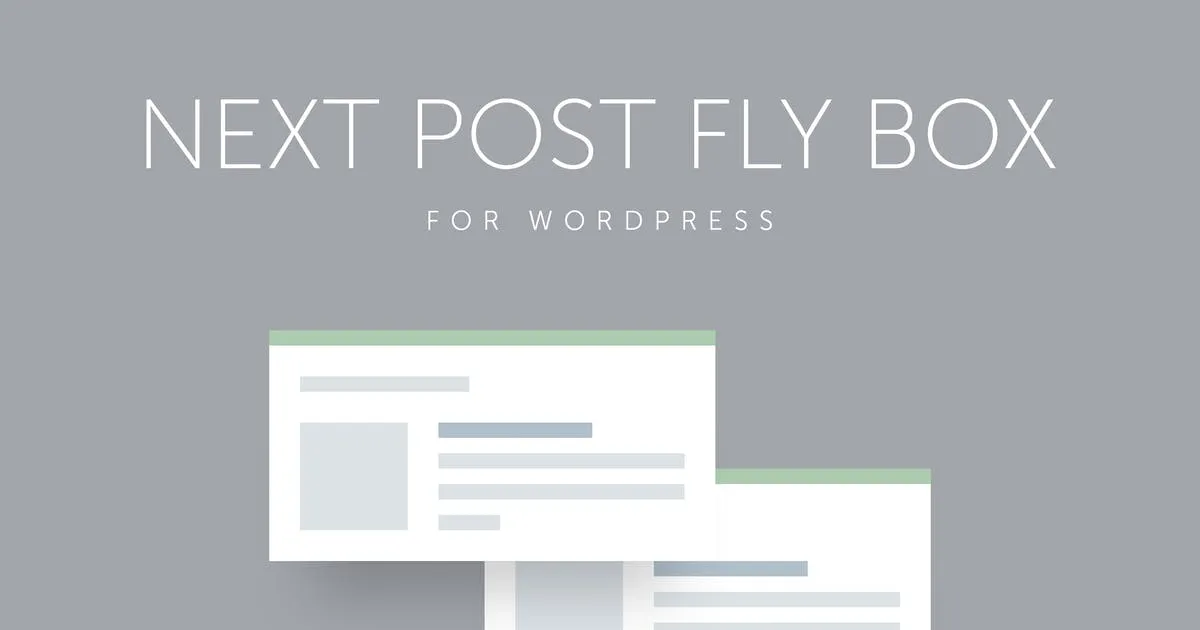 Next Post Fly Box