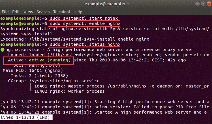 nginx reverse proxy