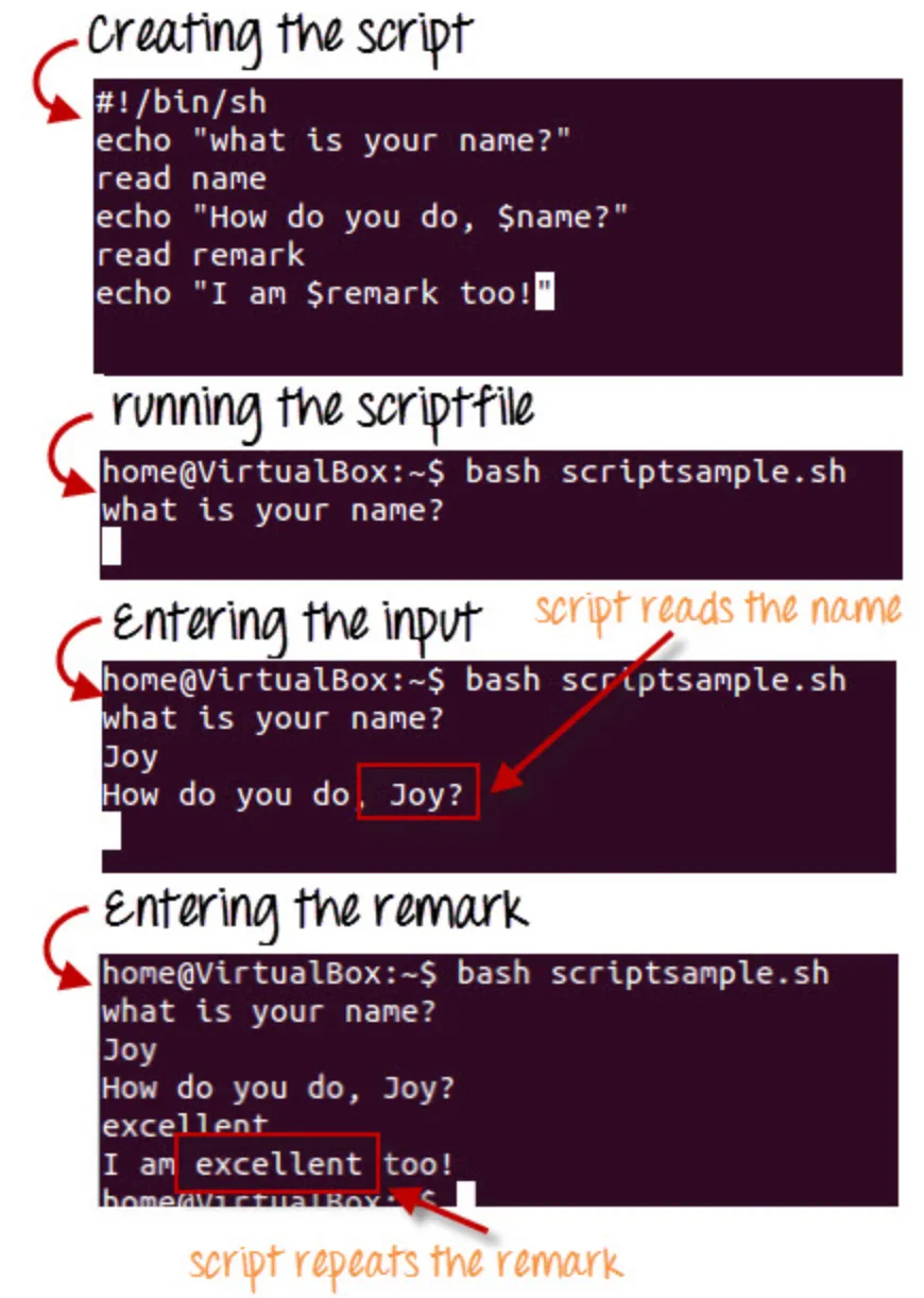 Thực thi Shell Script