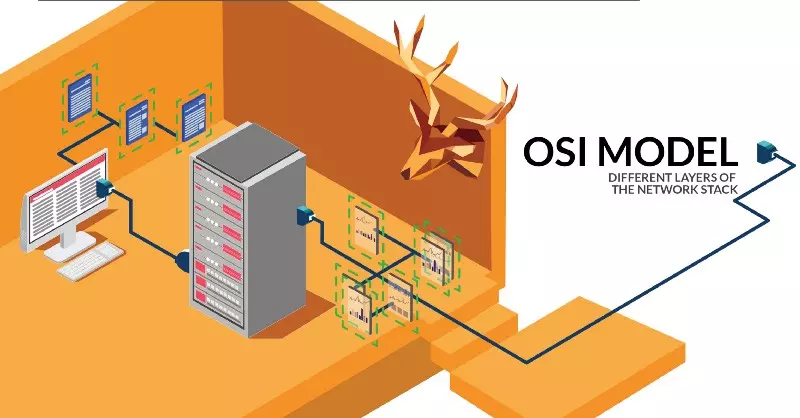 Các giao thức trong mô hình OSI