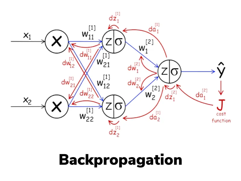 Backpropagation