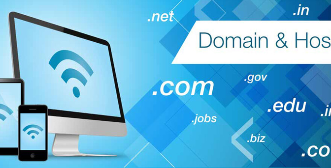 Hosting và domain là gì? Sự khác biệt giữa Domain và Hosting