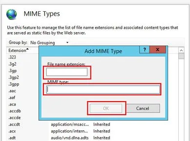 5 cách fix lỗi “Server error in Nhập file name extension tương ứng vào Mime type