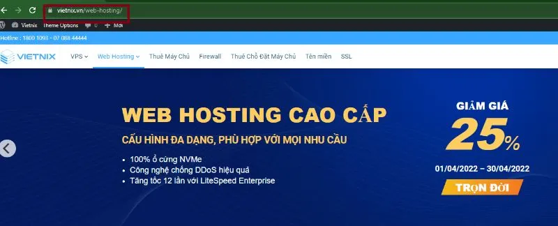 Một ví dụ về URL đơn giản cho website