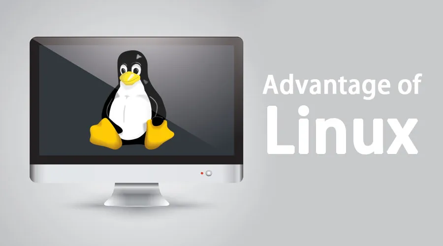 uu nhuoc diem cua cloud hosting linux