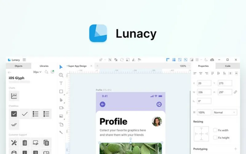 Lunacy