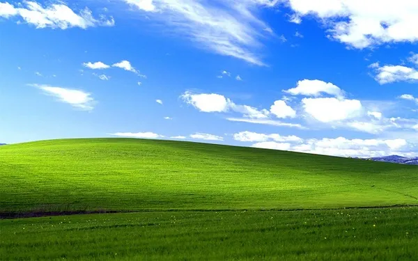 windows xp