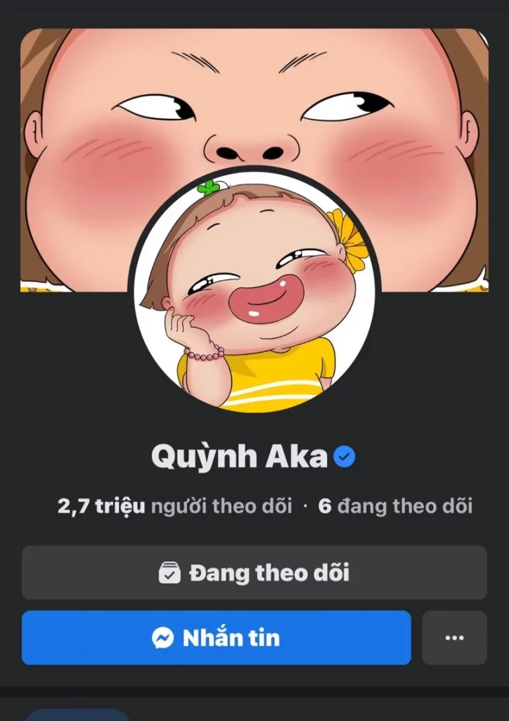 Fanpage Quỳnh Aka chuyên về ngách nội dung vui nhộn