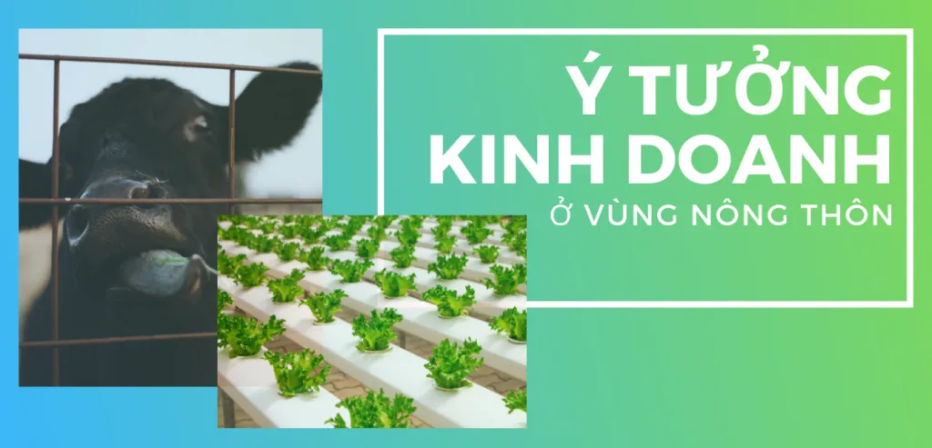 Ý tưởng kinh doanh ở vùng nông thôn