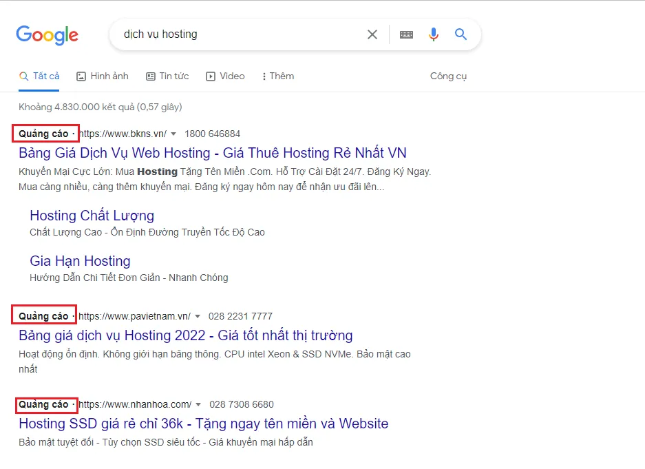 Một số định dạng trả phí trên Google SERP