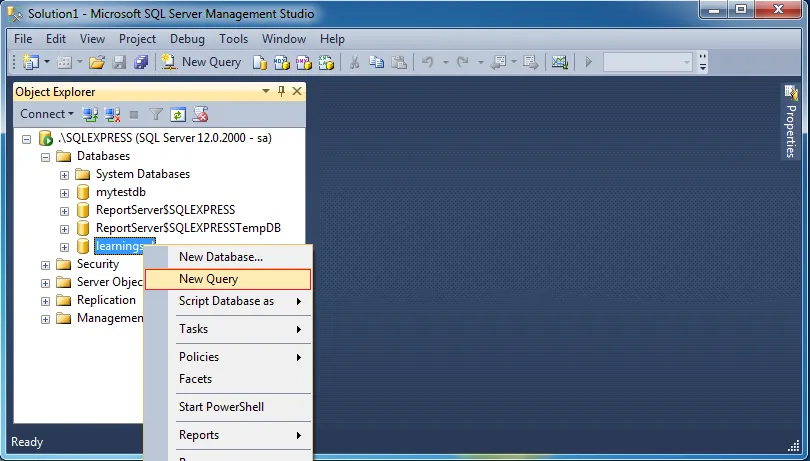 Chọn New Query để mở trang mới