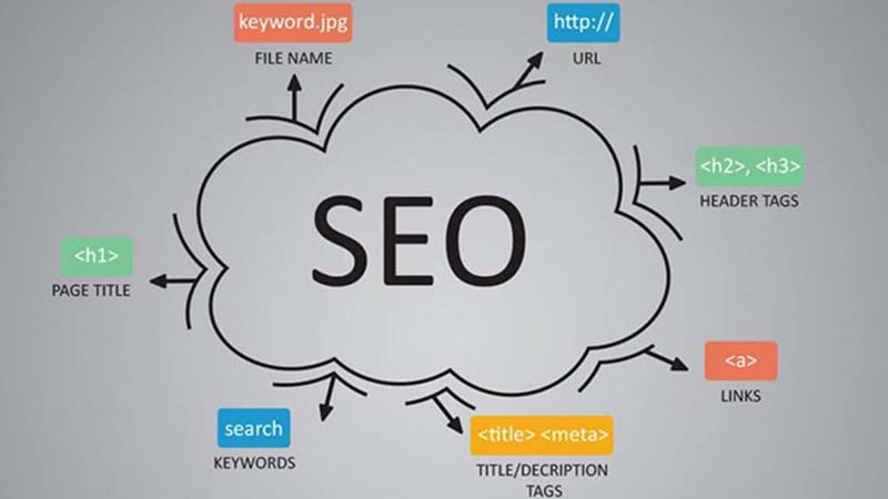 Dịch vụ seo HCM nhận seo tổng thể và seo từ khóa