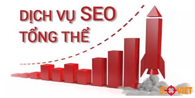 Seo tổng thể